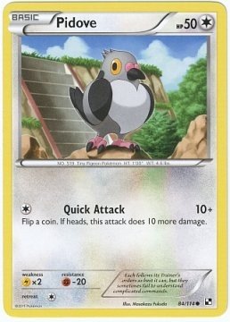 Pidove (Pokemon Black & White)
