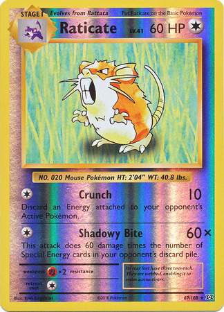 Raticate (Pokemon XY Evolutions)