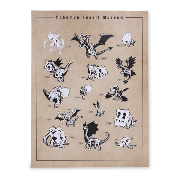 Pokémon Fossil Museum: Skeletons - Pokémon Center Poster 46x61cm